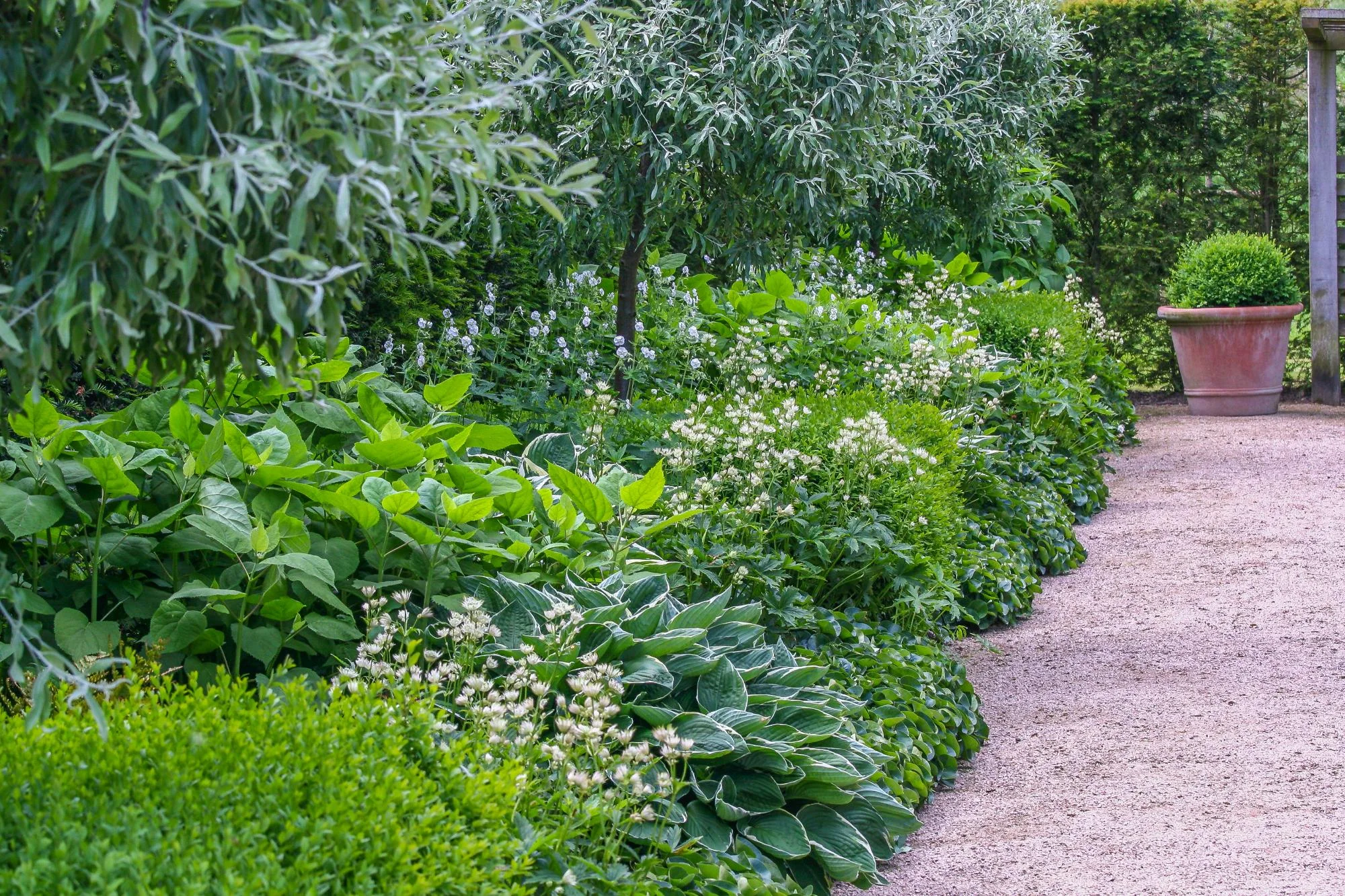 Rill Garden - Gallery 04