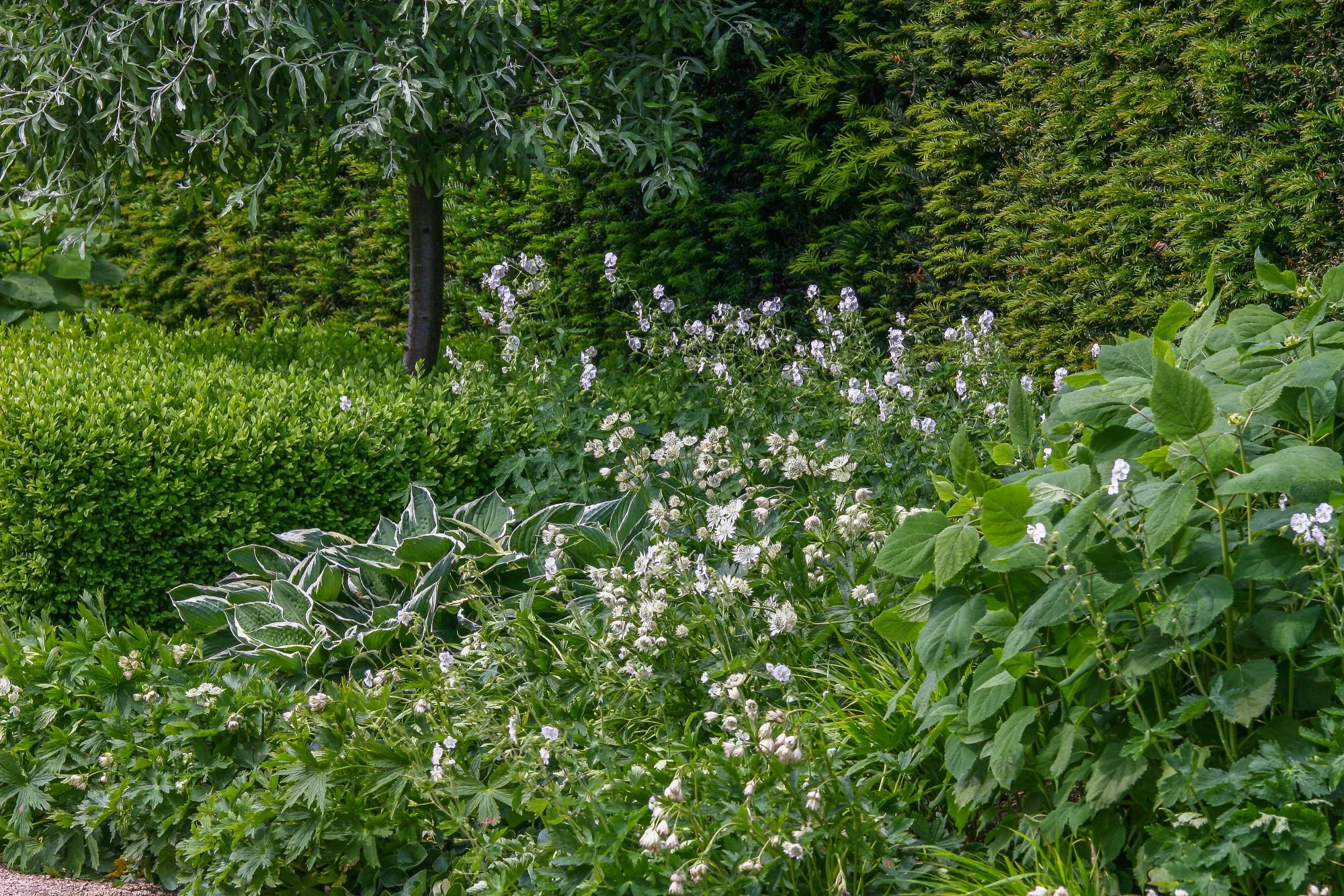 Rill Garden - Gallery 05