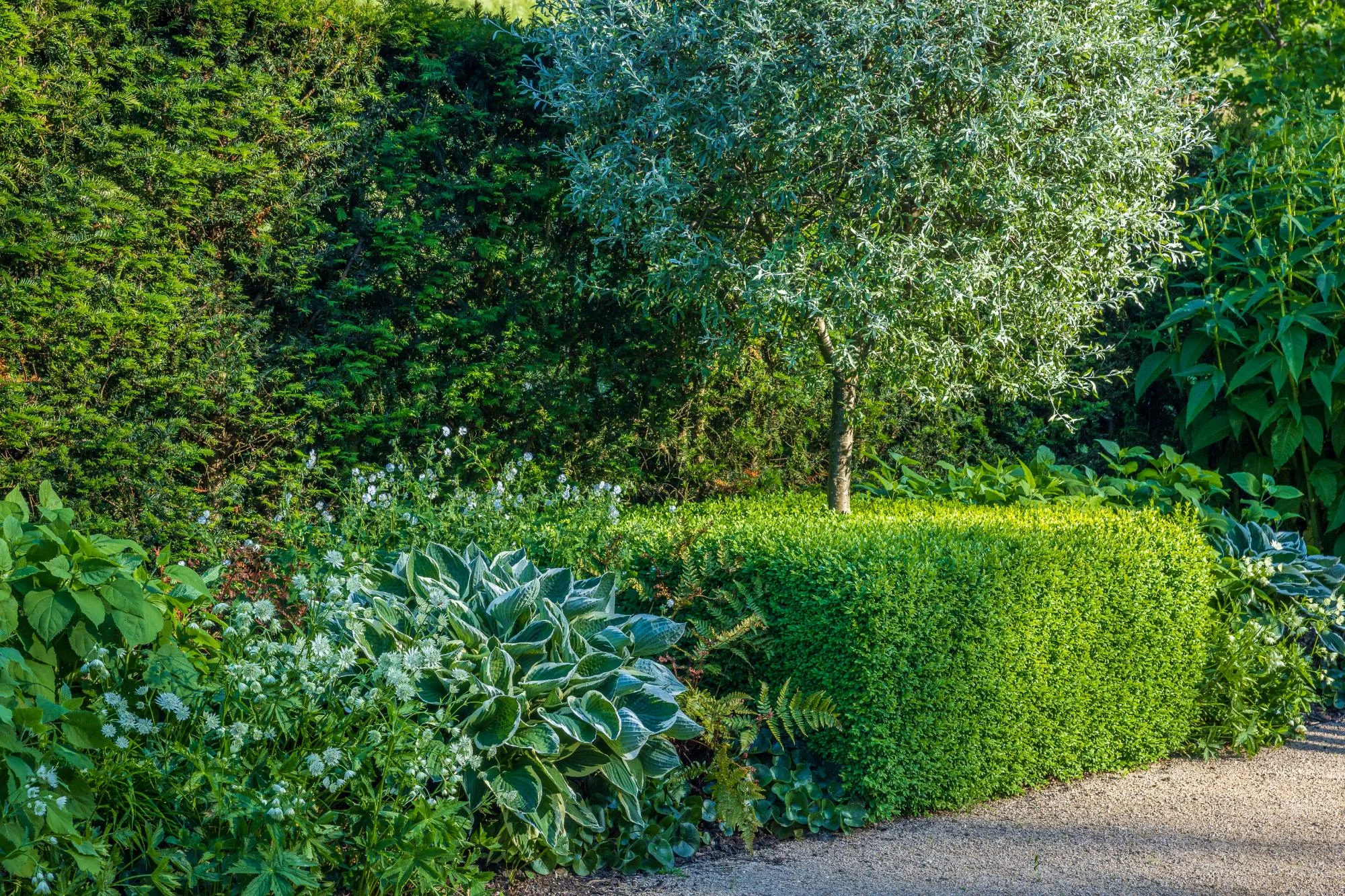 Rill Garden - Gallery 07