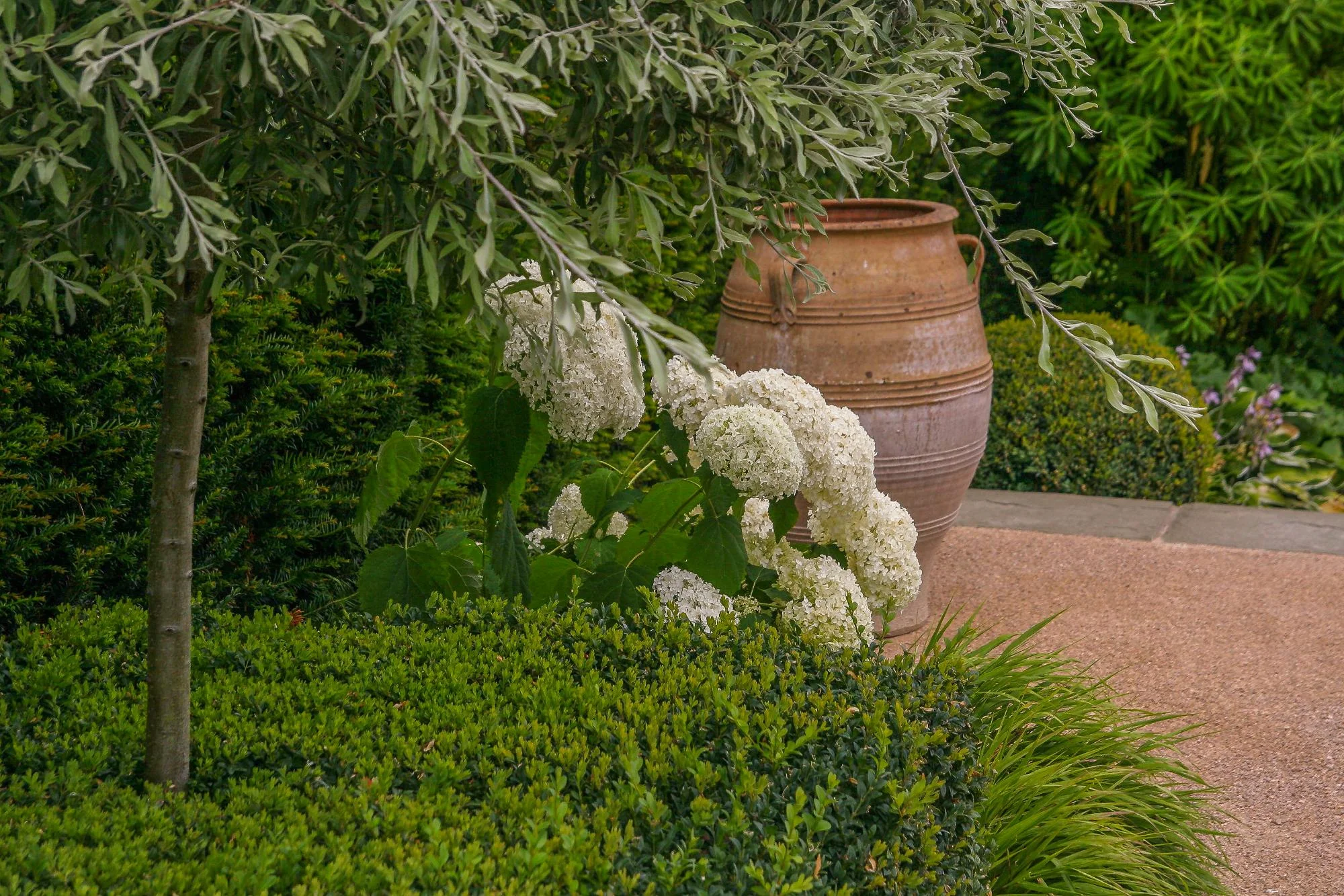 Rill Garden - Gallery 10