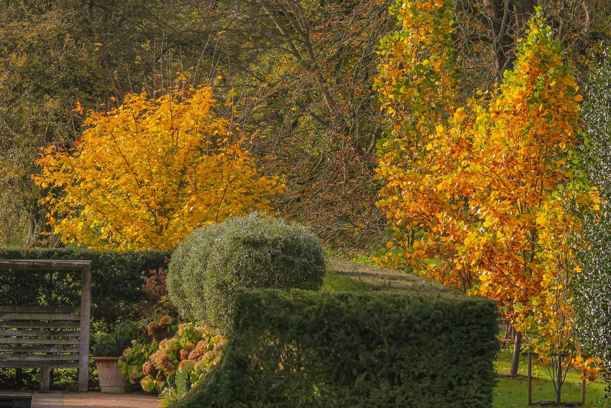 Rill Garden - Gallery 12