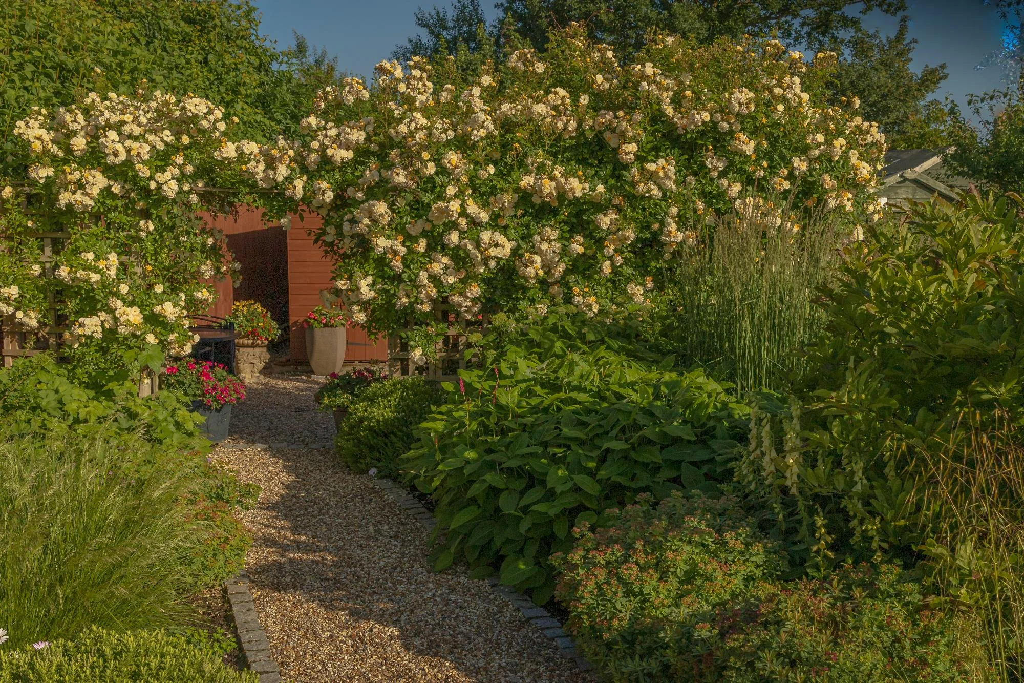 Village Garden - Gallery 09