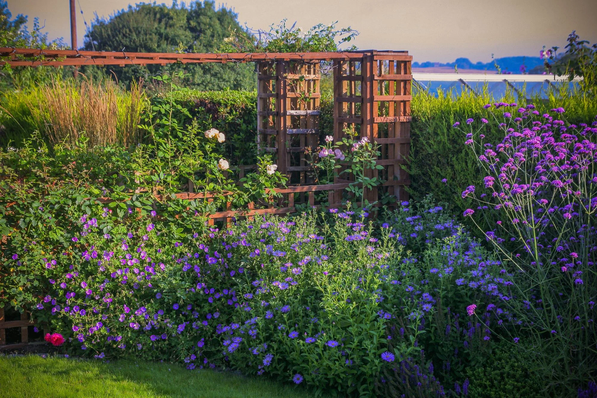 Village Garden - Gallery 10