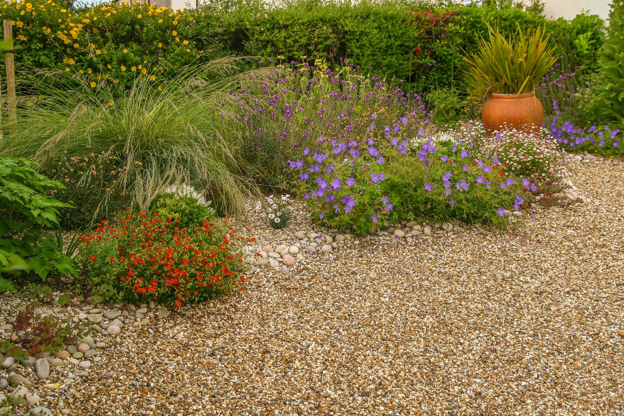 Village Garden - Gallery 15