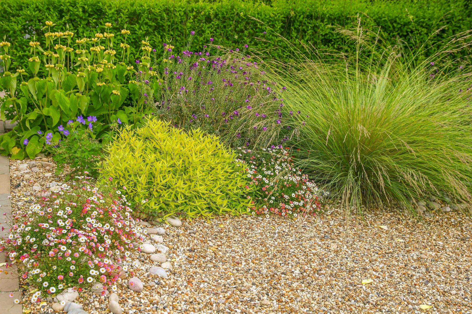 Village Garden - Gallery 17