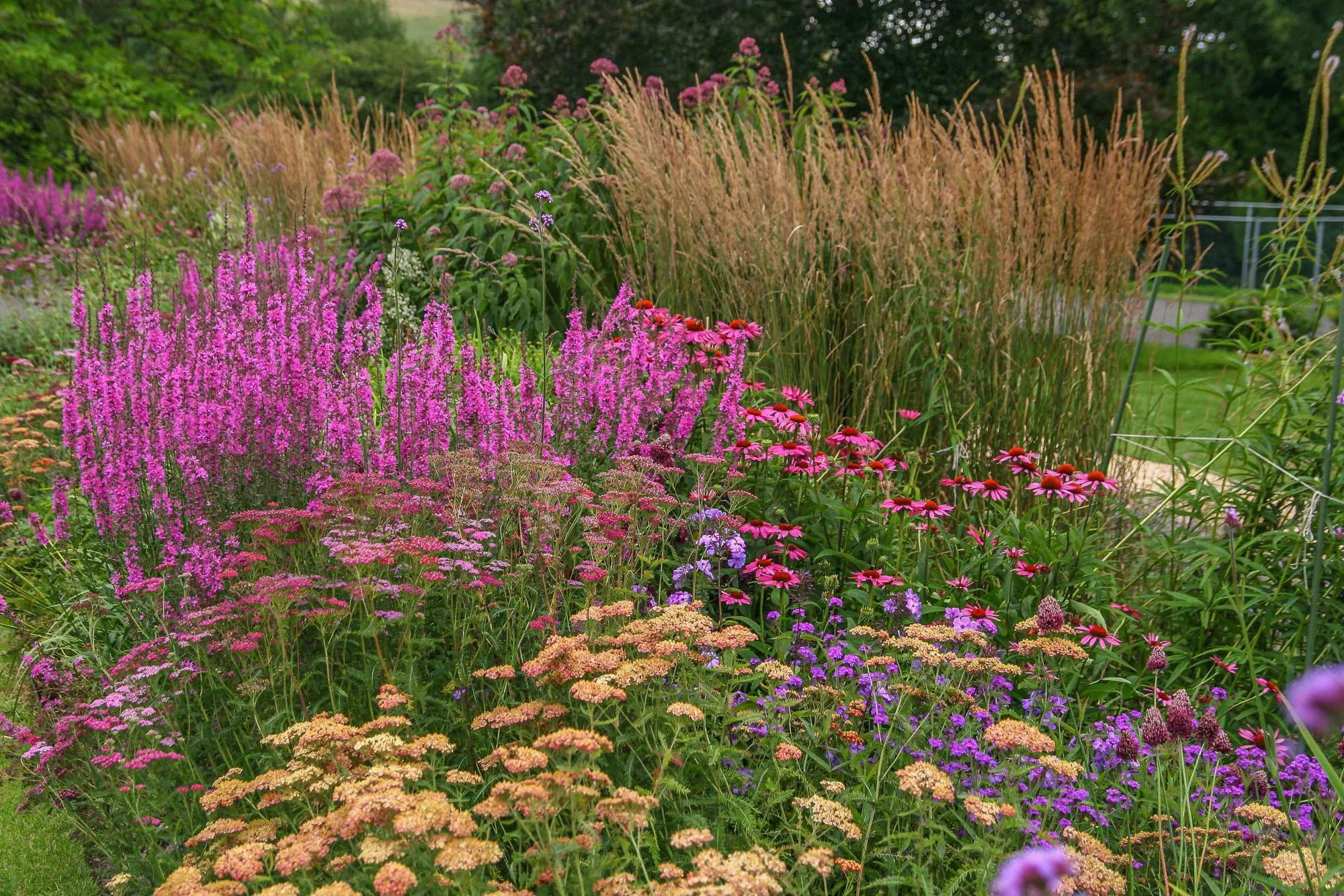 Wiltshire Garden - Gallery 06