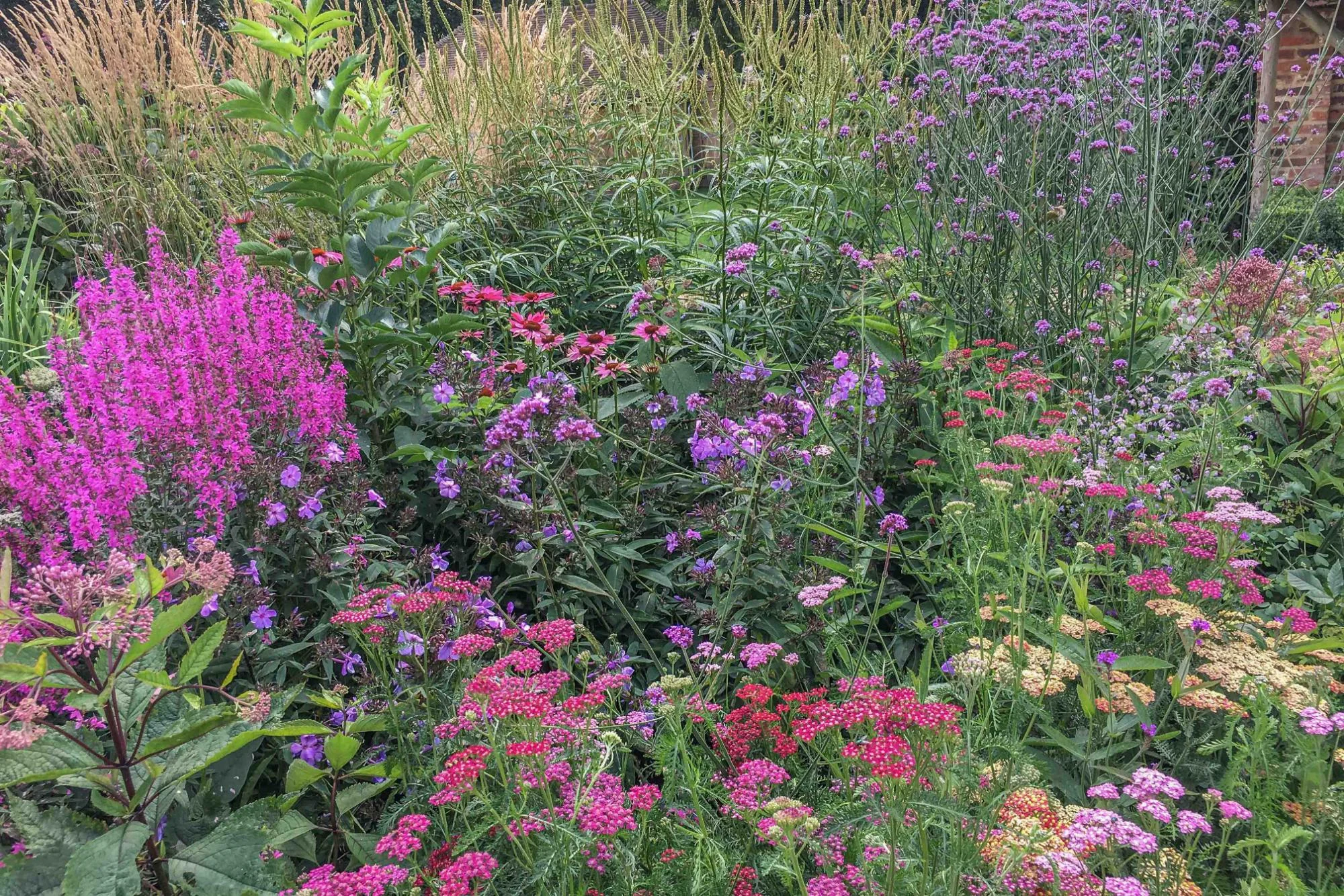 Wiltshire Garden - Gallery 09