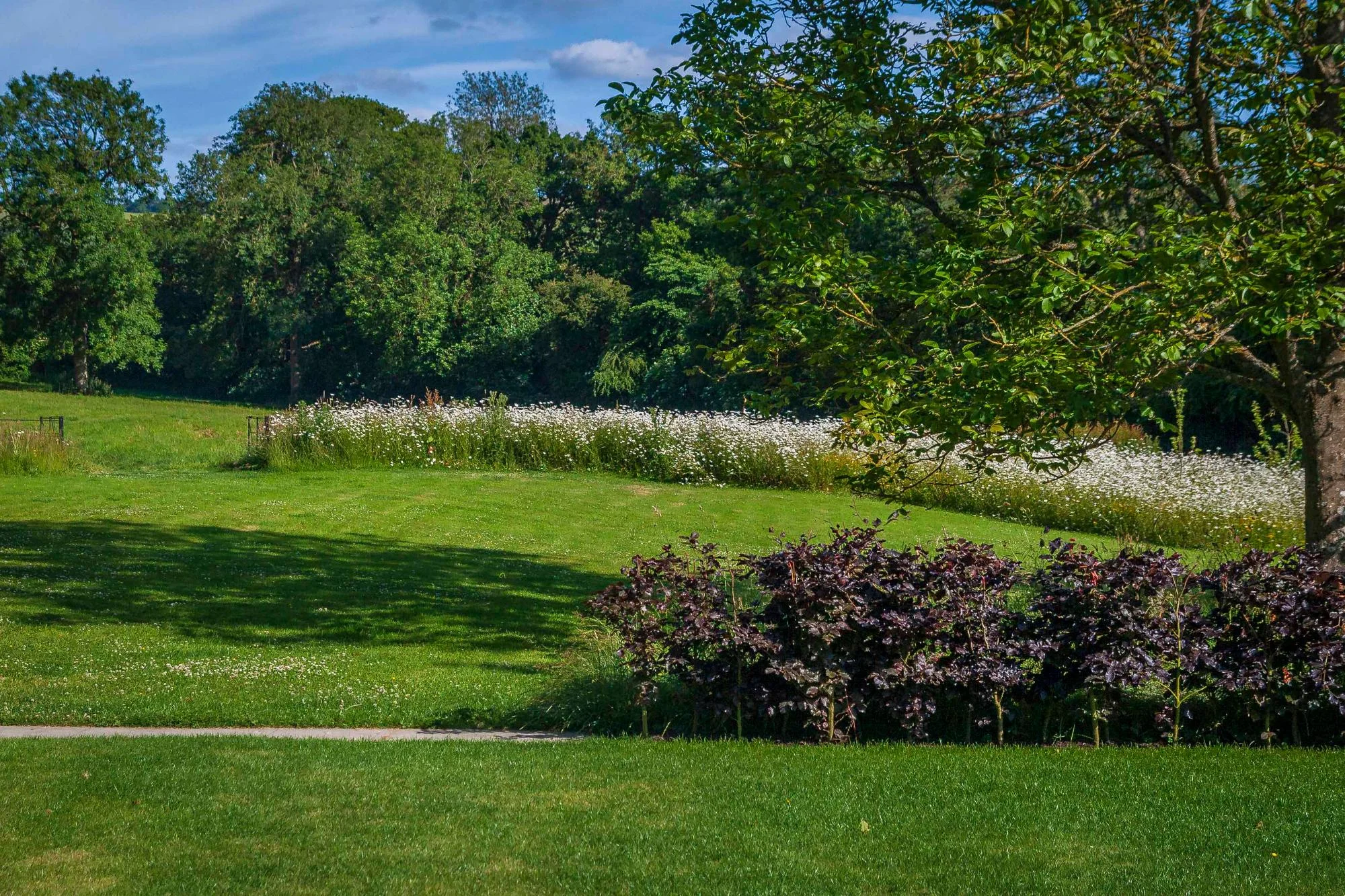 Wiltshire Garden - Gallery 10