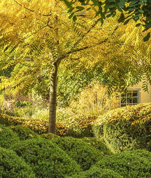 Jeremy Allen Garden