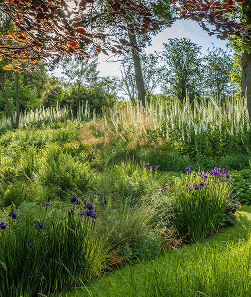 Jeremy Allen Garden Gallery