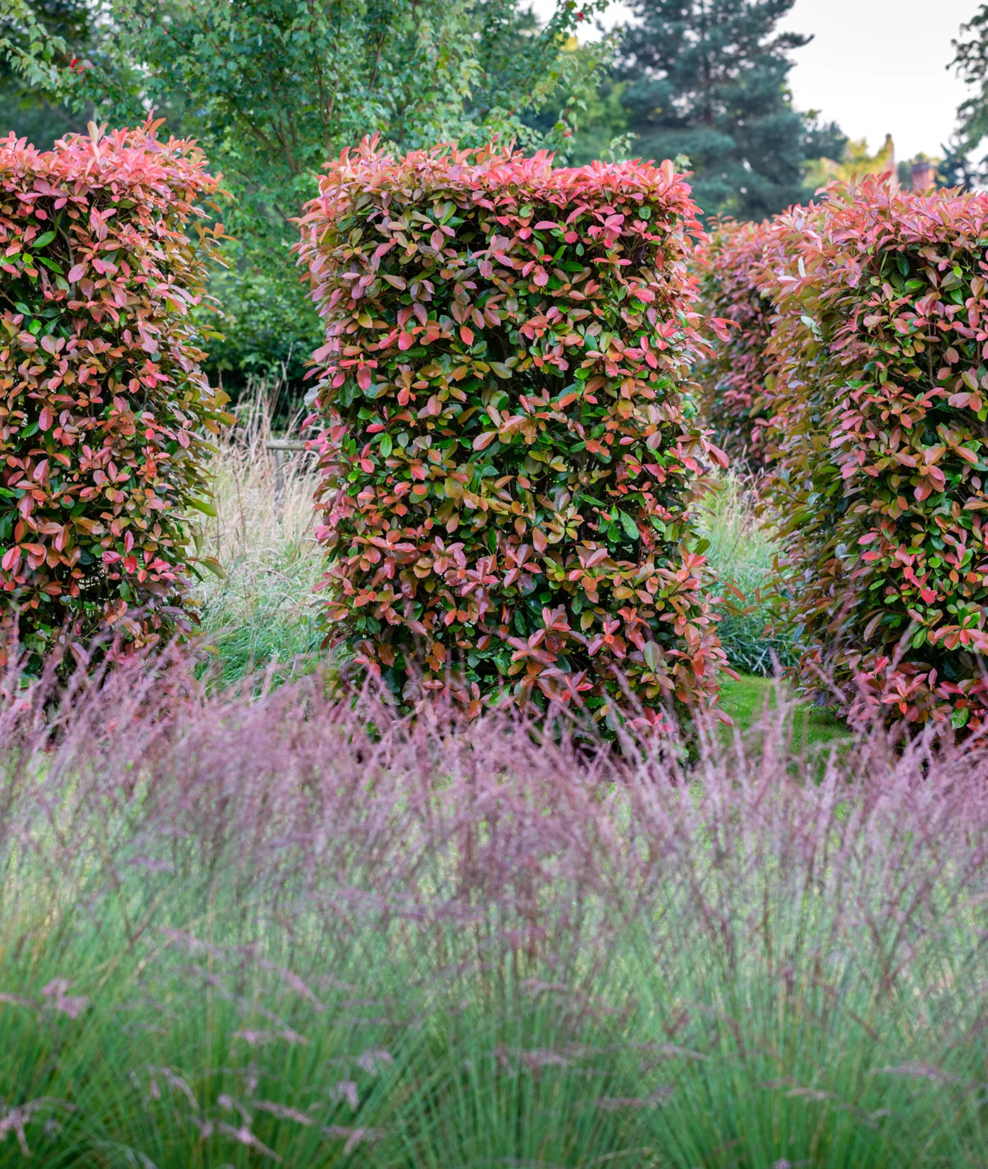 Flexible Garden Design - Gallery 01