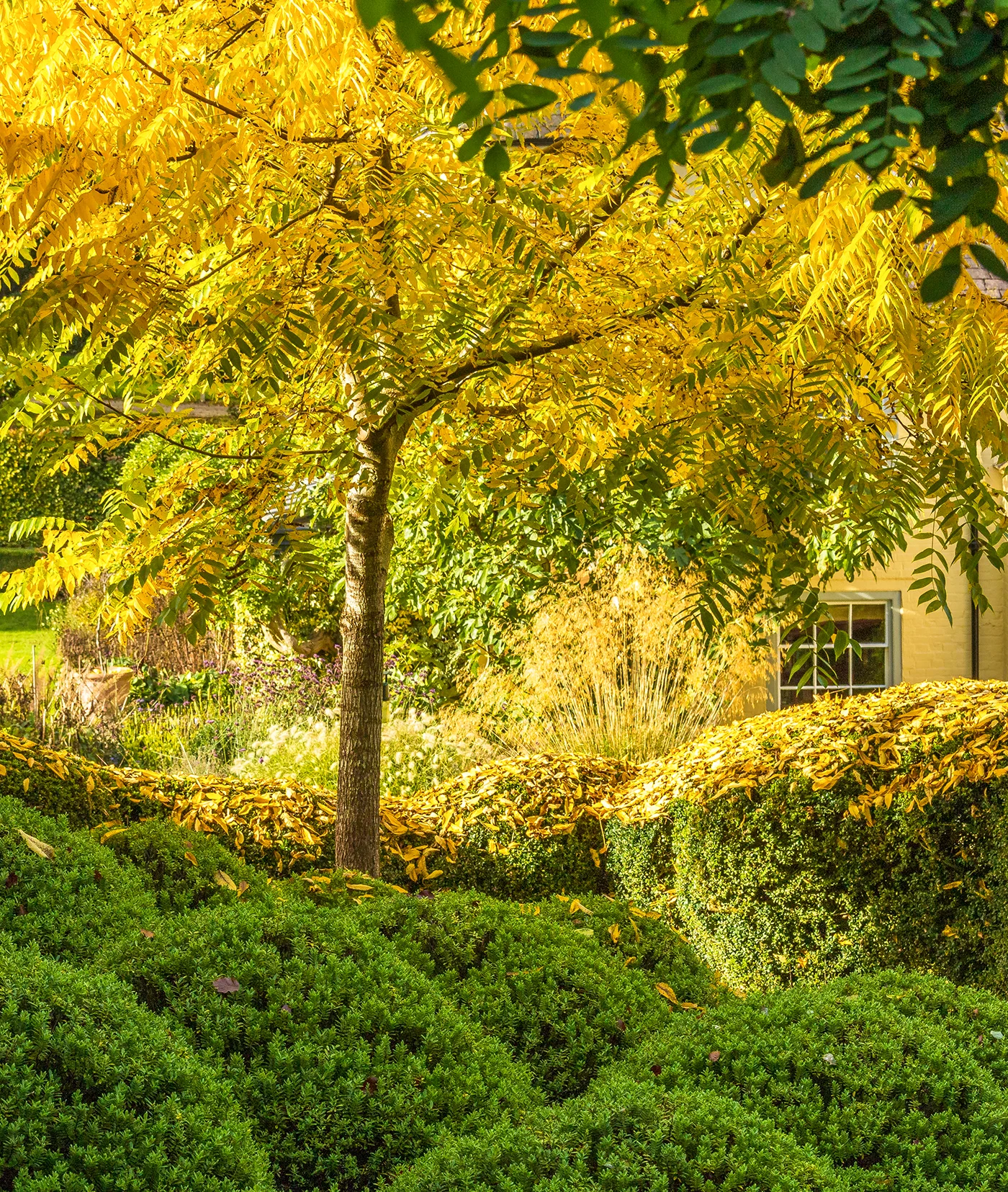 Flexible Garden Design - Gallery 03