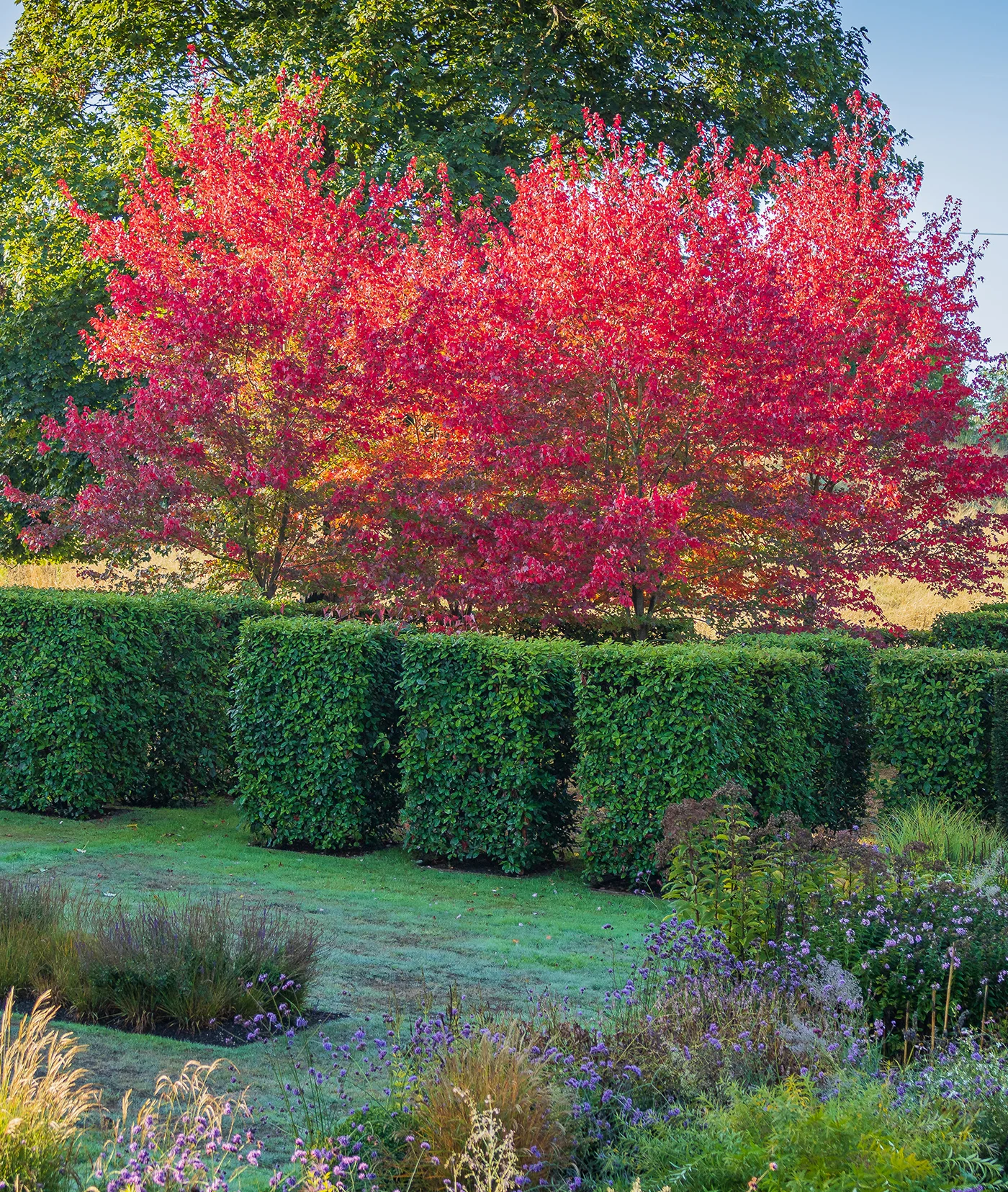 Flexible Garden Design - Gallery 06