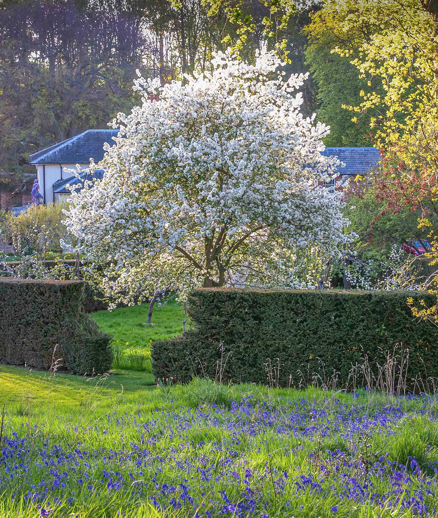 Flexible Garden Design - Gallery 08