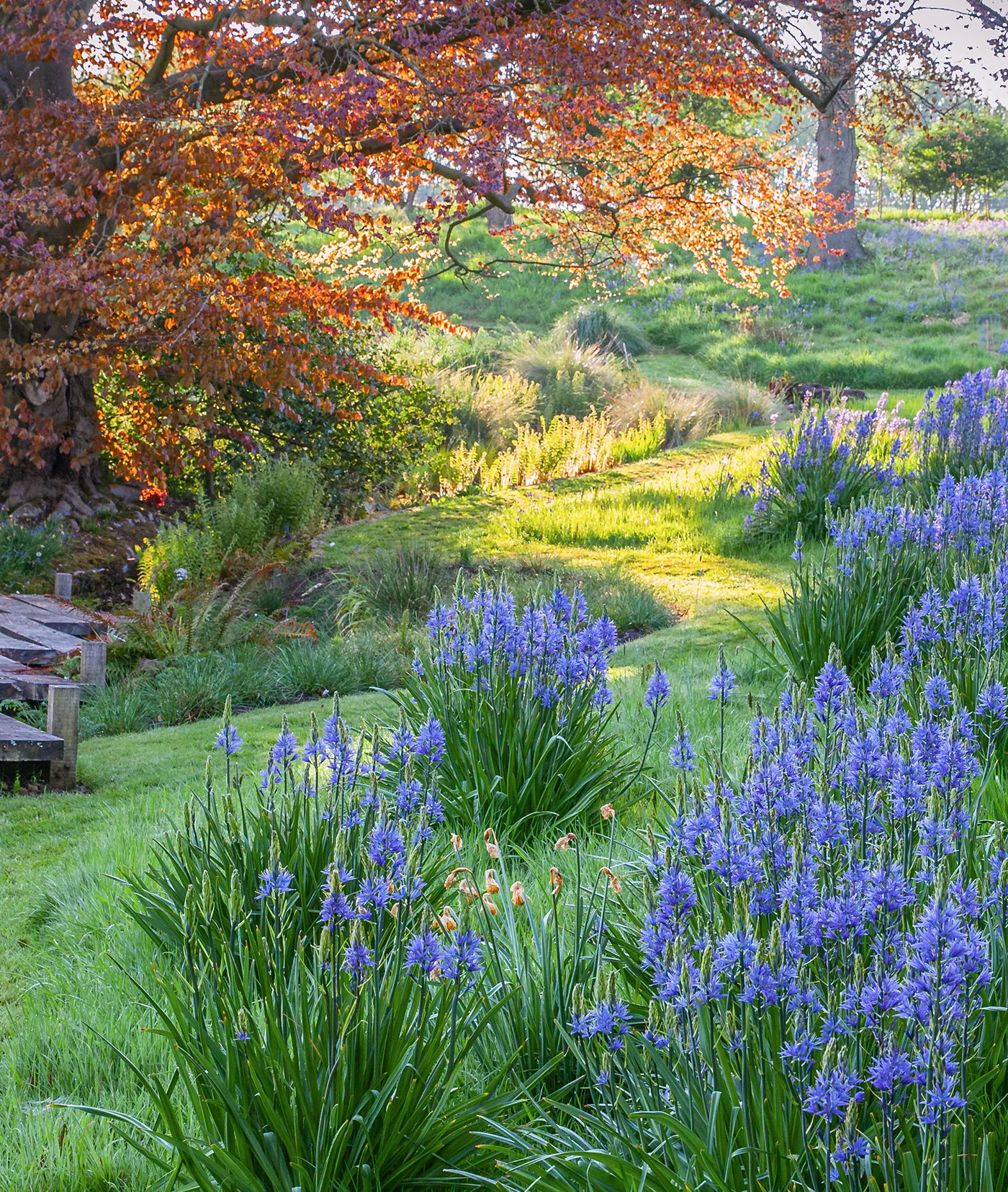 Flexible Garden Design - Gallery 10