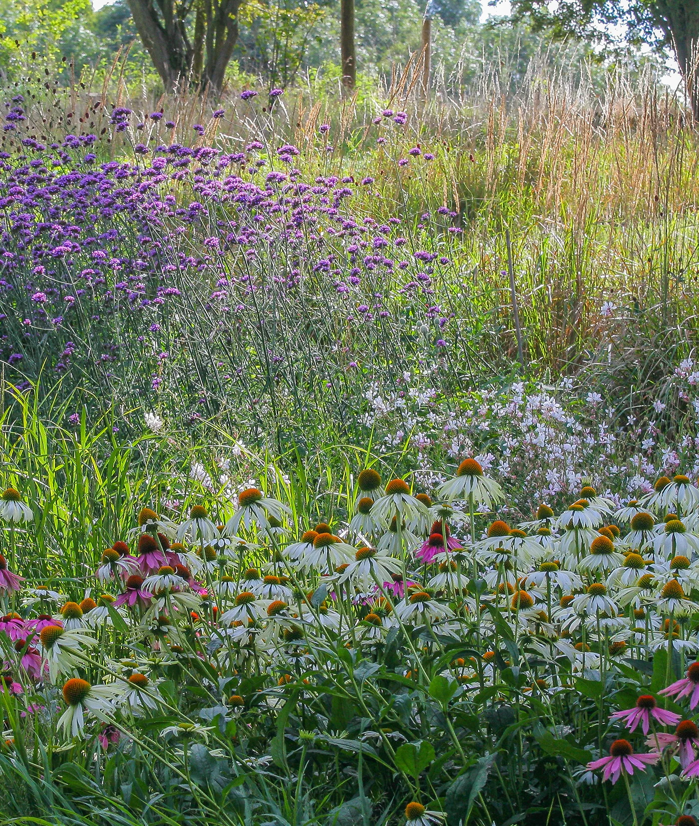 Flexible Garden Design - Gallery 12